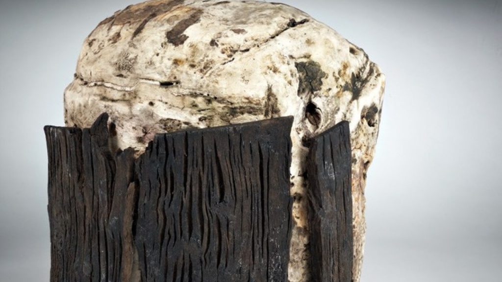 Irish bogs- unearthed bog butter contained in tree bark.